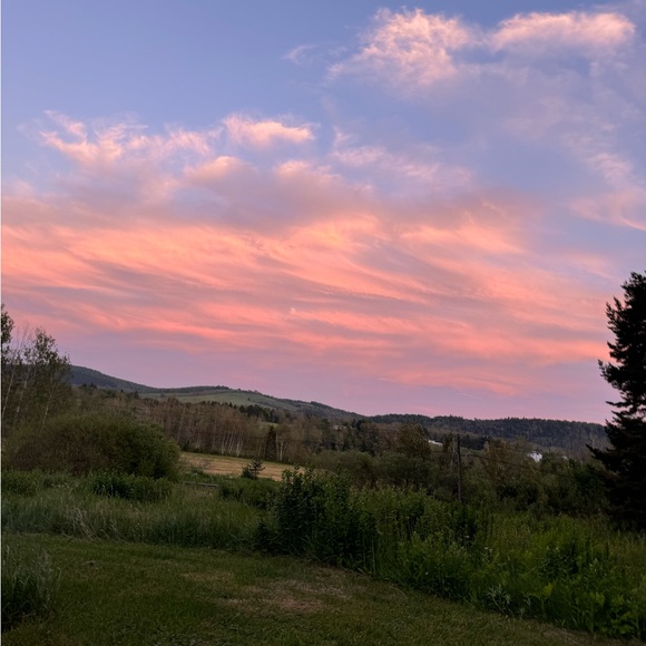 Meet your Posher, Mariepier - Picture 1 of 1